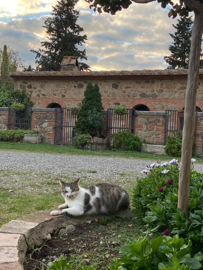 Agriturismo Il Pozzo Castiglione dʼOrcia Esterno foto