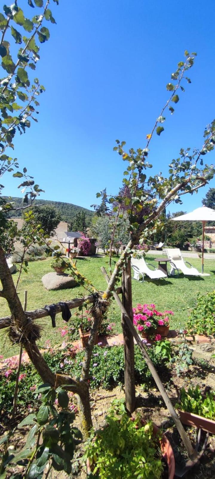 Agriturismo Il Pozzo Castiglione dʼOrcia Esterno foto