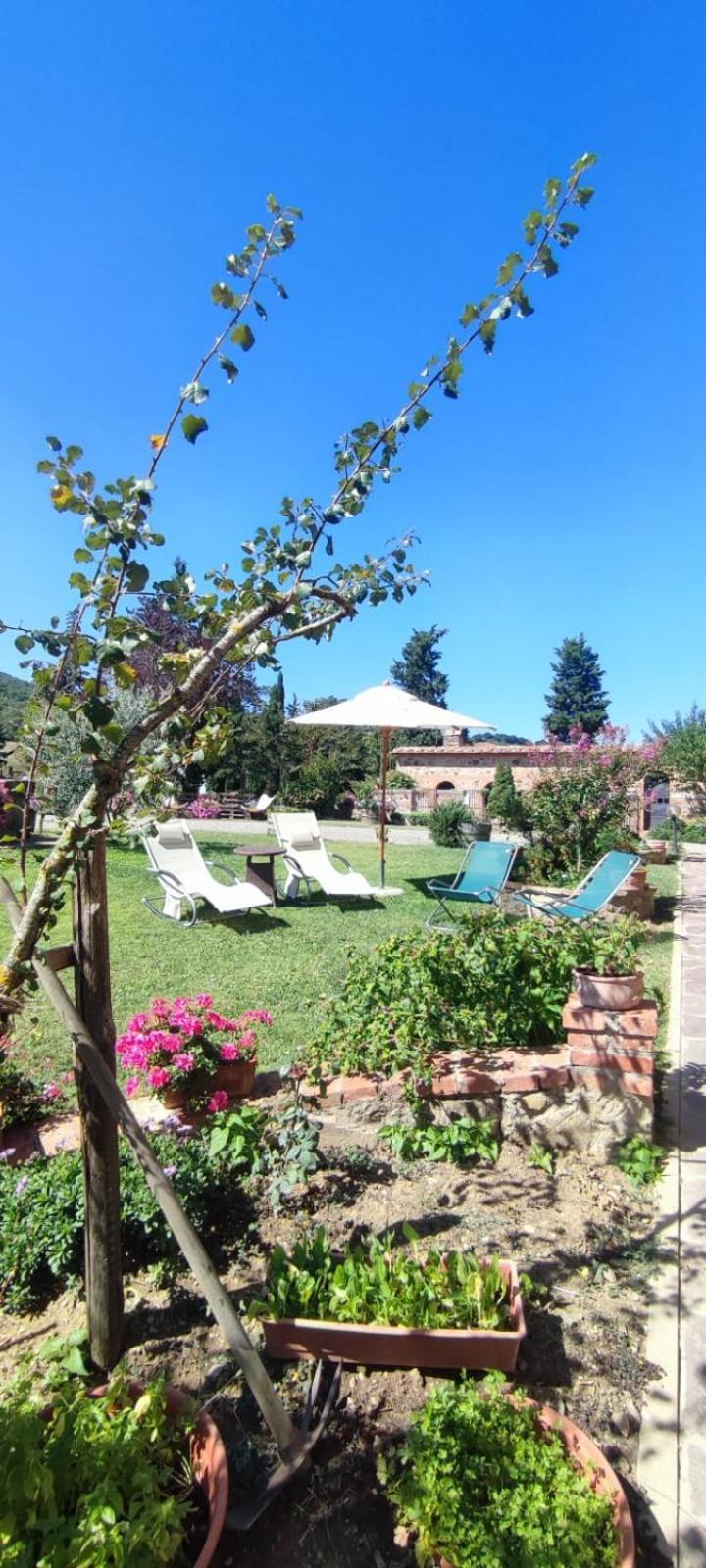 Agriturismo Il Pozzo Castiglione dʼOrcia Esterno foto